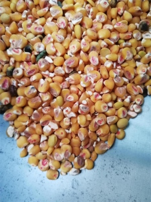 去丝瓜视频破解版药种子包衣外皮去皮机
